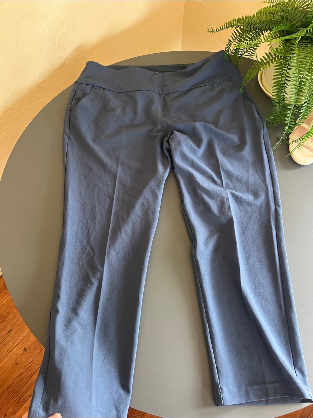 adidas Women's Navy Pull-On Ankle Pants